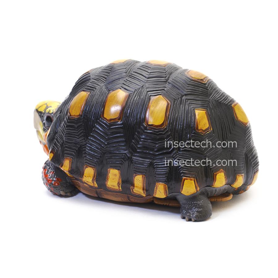【動物の惑星】アカアシガメ フィギュア |  | 02