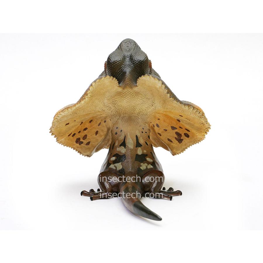 【動物の惑星】エリマキトカゲ フィギュア |  | 03