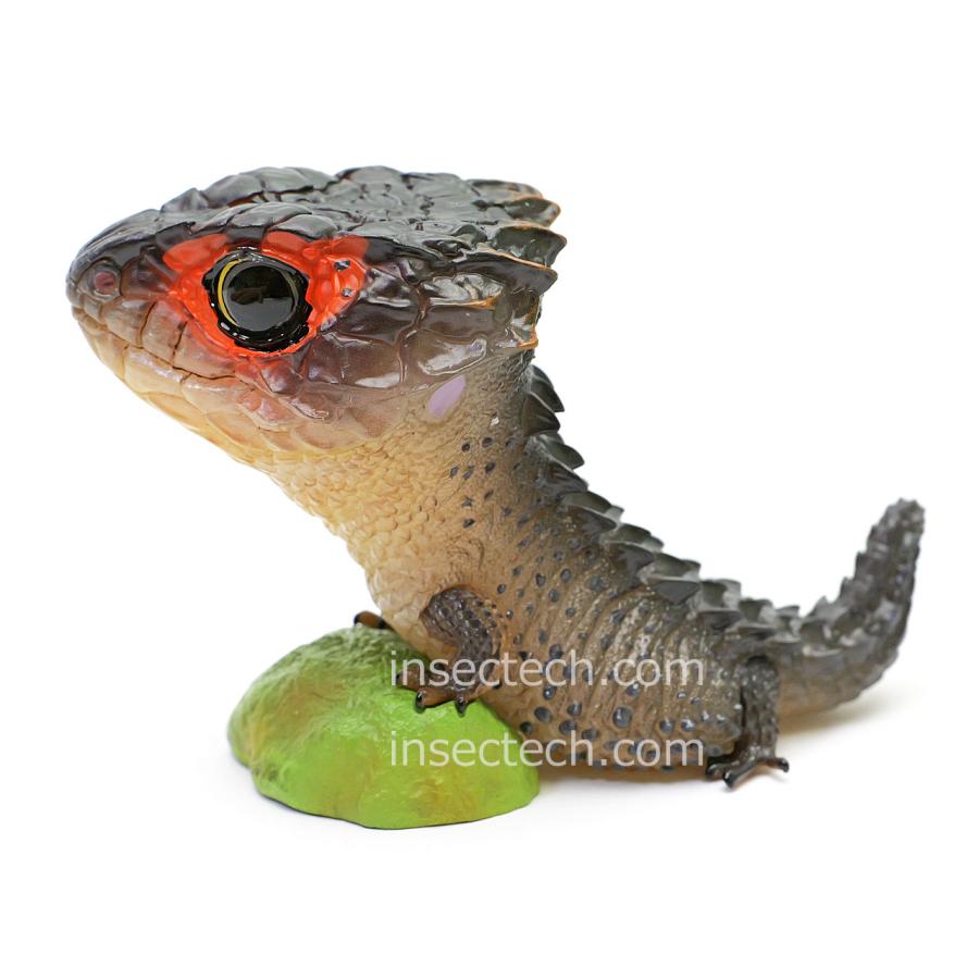 【動物の惑星】アカメカブトトカゲ フィギュア |  | 01