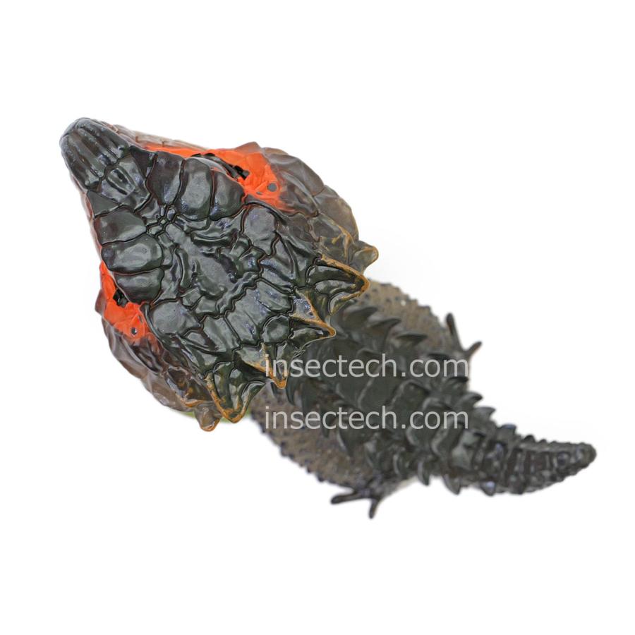 【動物の惑星】アカメカブトトカゲ フィギュア |  | 08