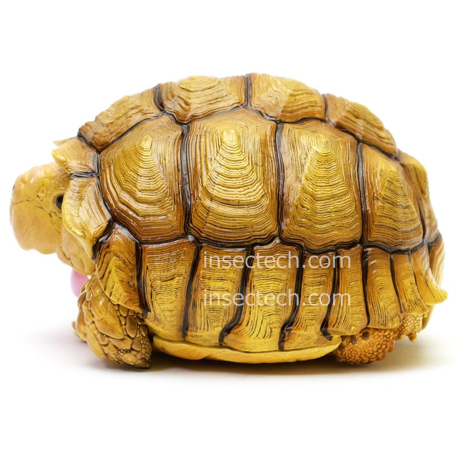 【動物の惑星】ケヅメリクガメ♀ フィギュア |  | 01