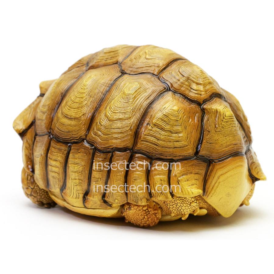 【動物の惑星】ケヅメリクガメ♀ フィギュア |  | 02