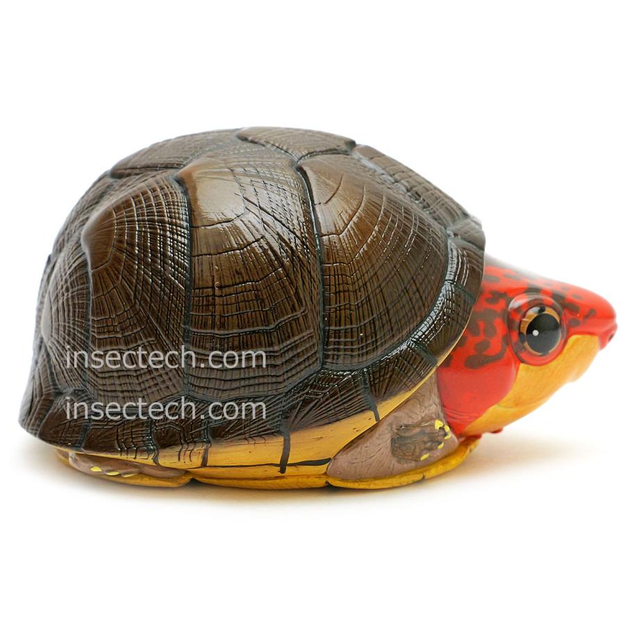 【動物の惑星】ホオアカドロガメ フィギュア |  | 05