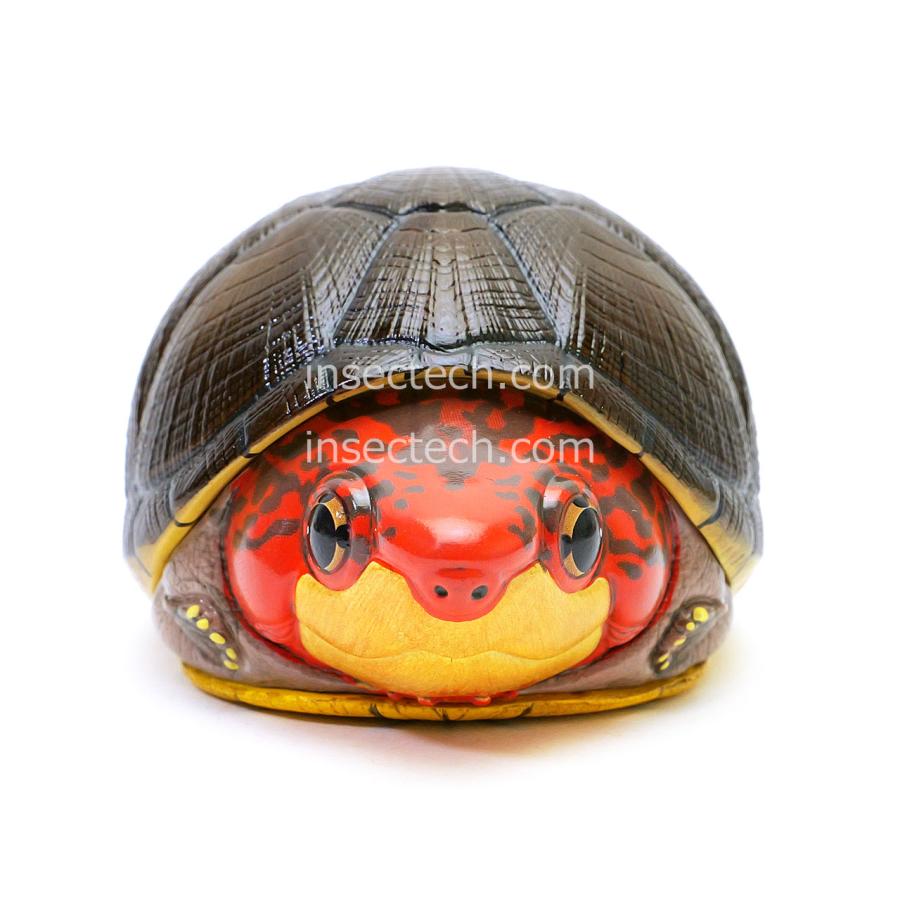 【動物の惑星】ホオアカドロガメ フィギュア |  | 07