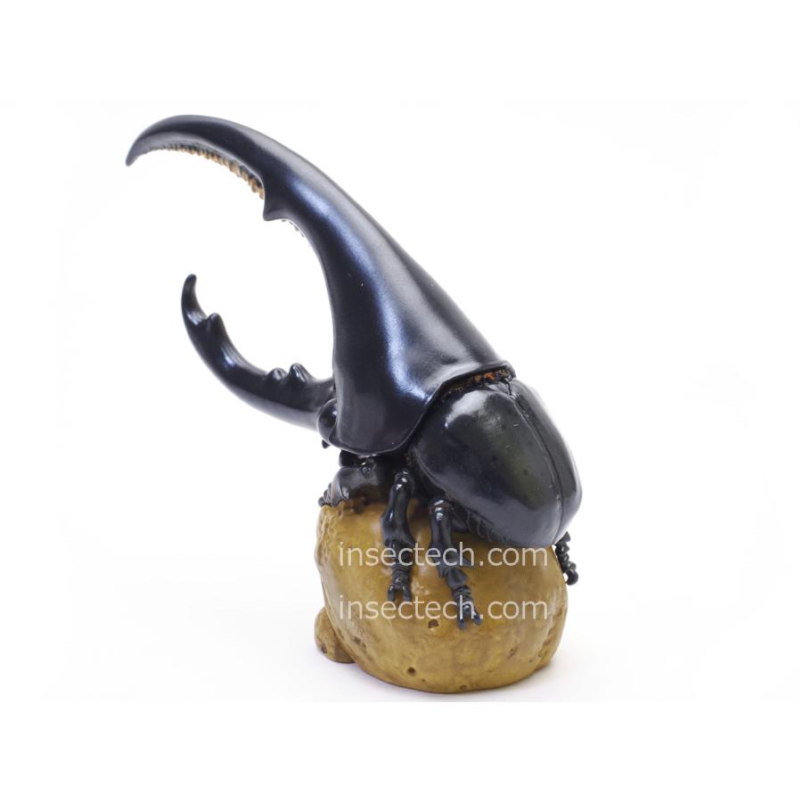 【動物の惑星】ヘラクレスオオカブト（黒翅）フィギュア |  | 02