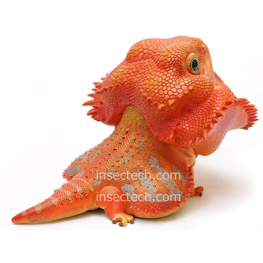 【動物の惑星】フトアゴヒゲトカゲ（レッド）フィギュア |  | 04