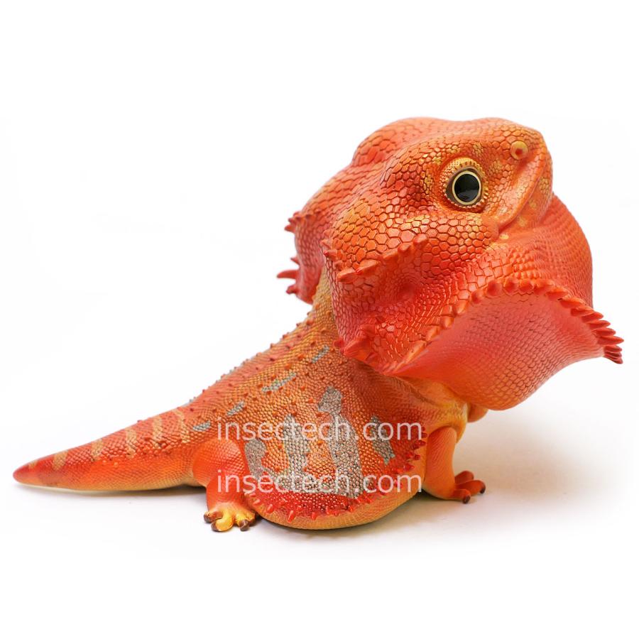 【動物の惑星】フトアゴヒゲトカゲ（レッド）フィギュア |  | 05