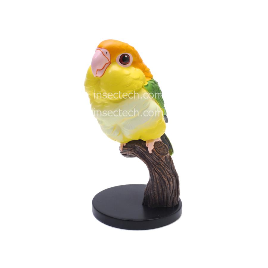 【動物の惑星】シロハラインコ フィギュア | 