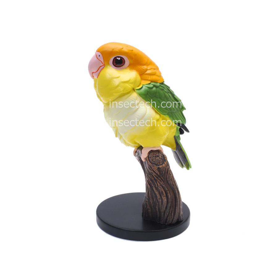 【動物の惑星】シロハラインコ フィギュア |  | 01