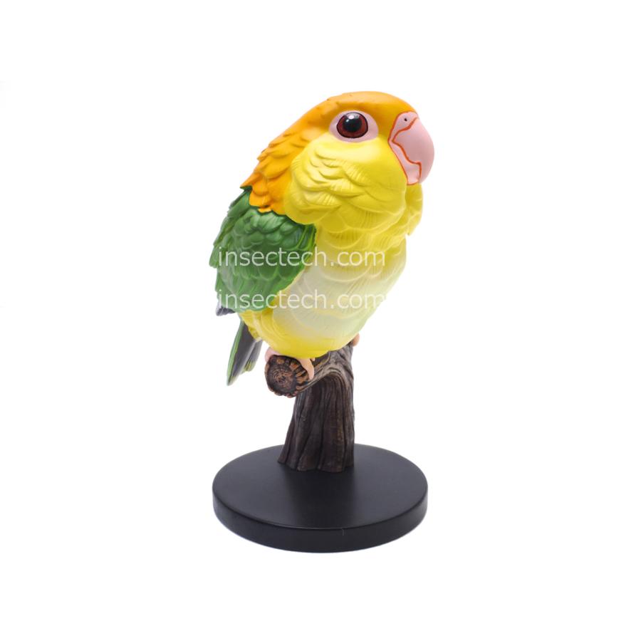 【動物の惑星】シロハラインコ フィギュア |  | 02