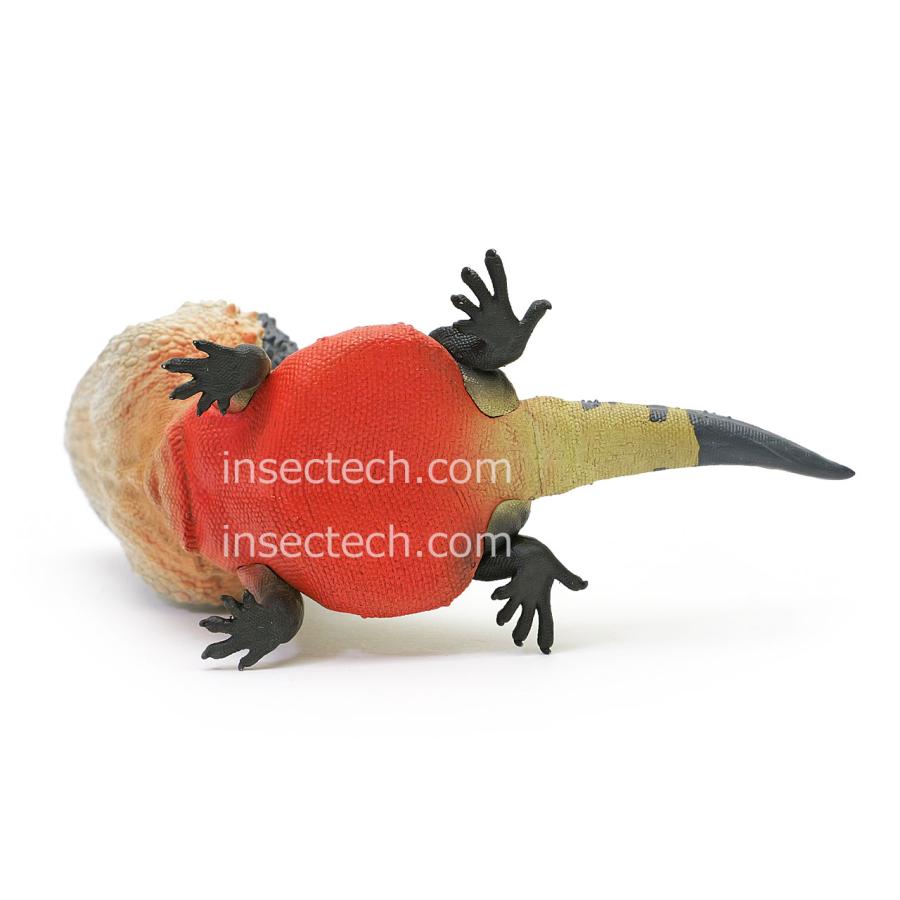 【動物の惑星】「シークレット」ヒガシウォータードラゴン フィギュア |  | 09