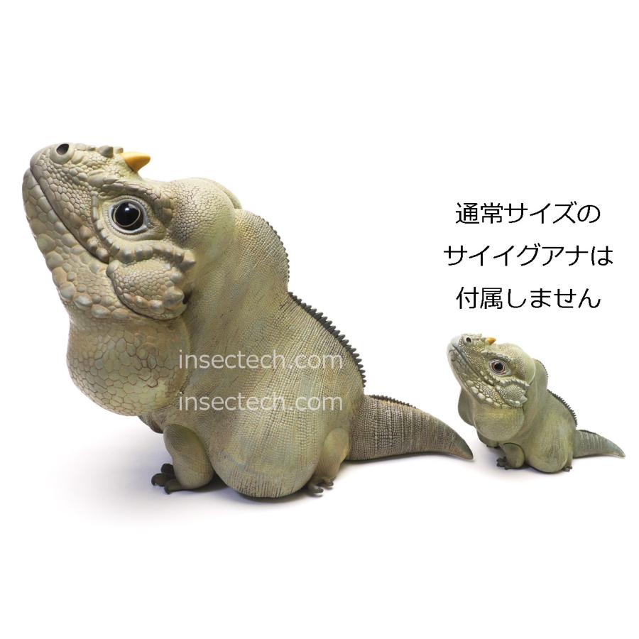 【動物の惑星】サイイグアナ PLUS版 フィギュア |  | 01
