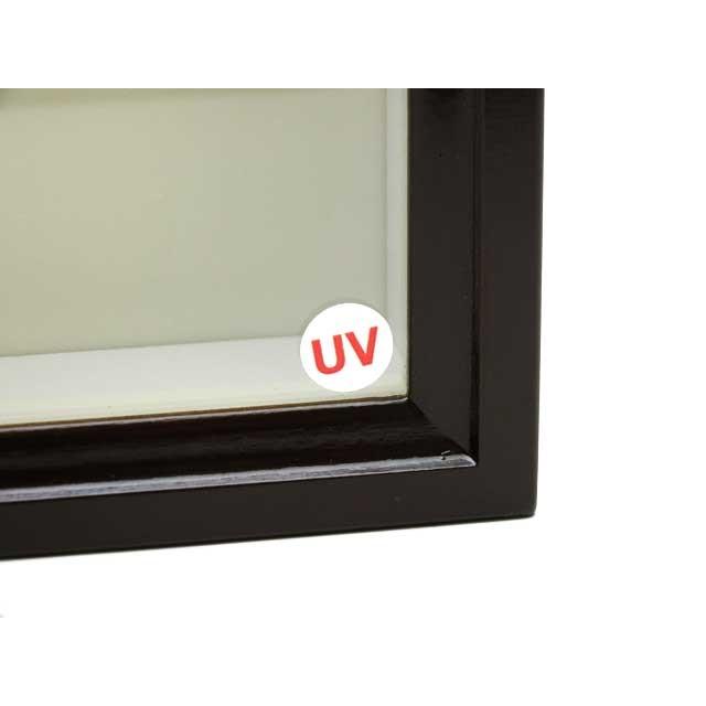 UVカット】《特小型》ドイツ型標本箱[黒] : インセクテック・ドット
