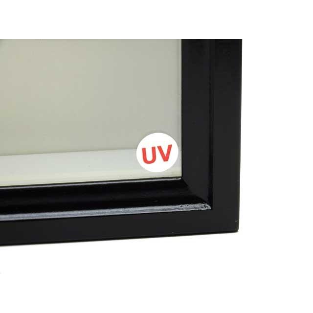 厚型70】【UVカット】小型ドイツ型標本箱（黒） : インセクテック