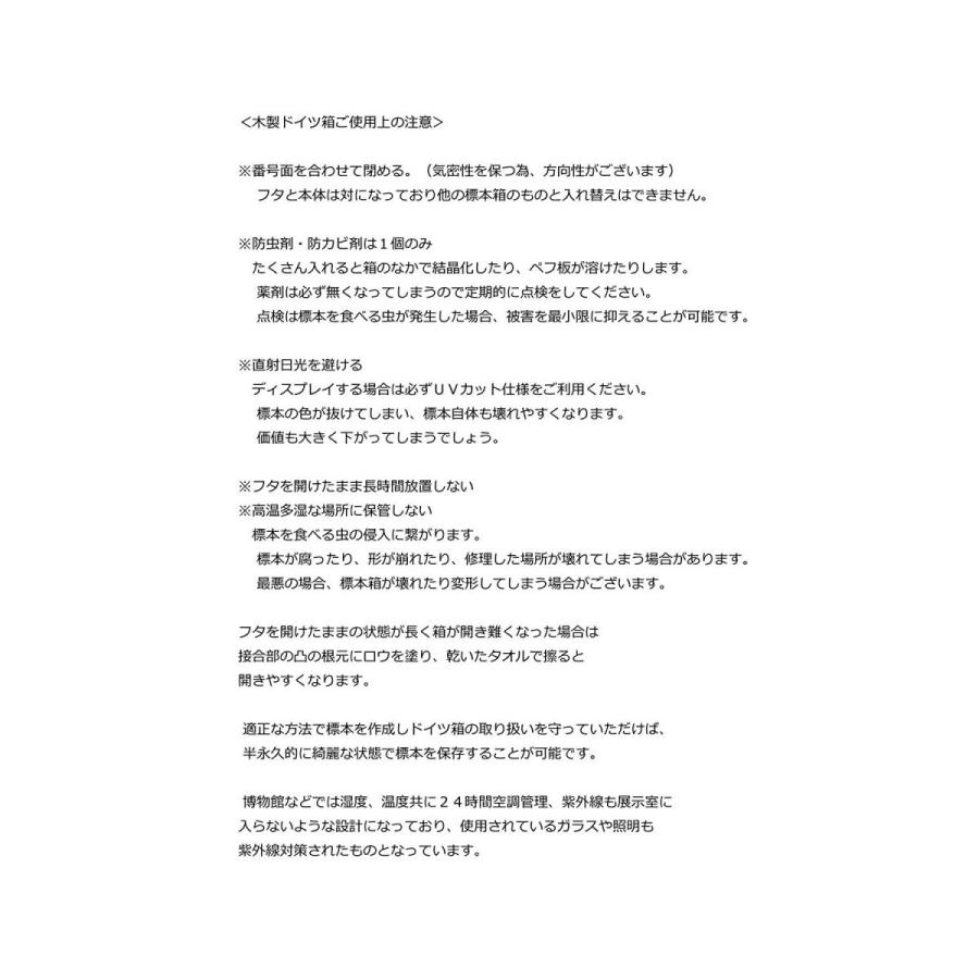 【厚型８０ＵＶカット】大型ドイツ型標本箱（茶） |  | 04