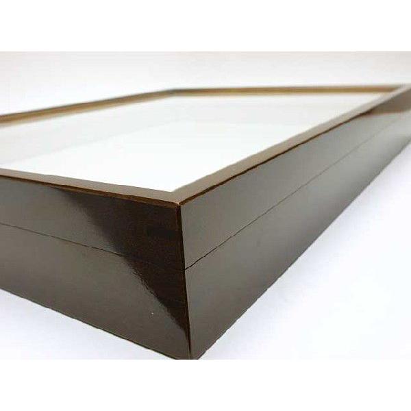 [新品]中型ドイツ箱(標本箱) 中箱 昆虫標本箱（ドイツ箱）