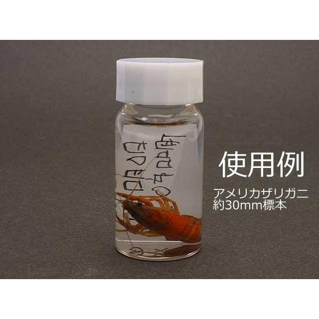 液浸標本作成用ねじ口瓶 (10ml) : インセクテック・ドット・コム