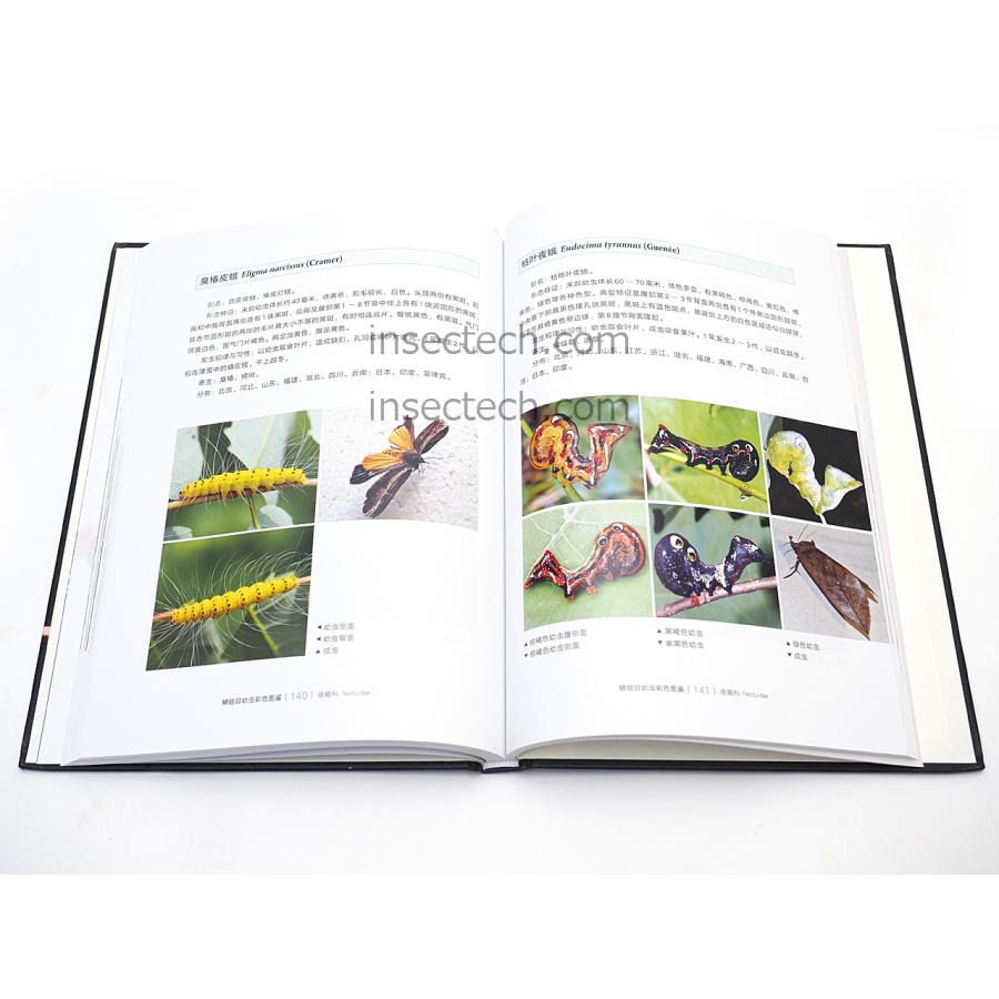 中国鱗翅目幼虫カラー図鑑（中国簡体字）*注意事項を読んで了承しました |  | 03