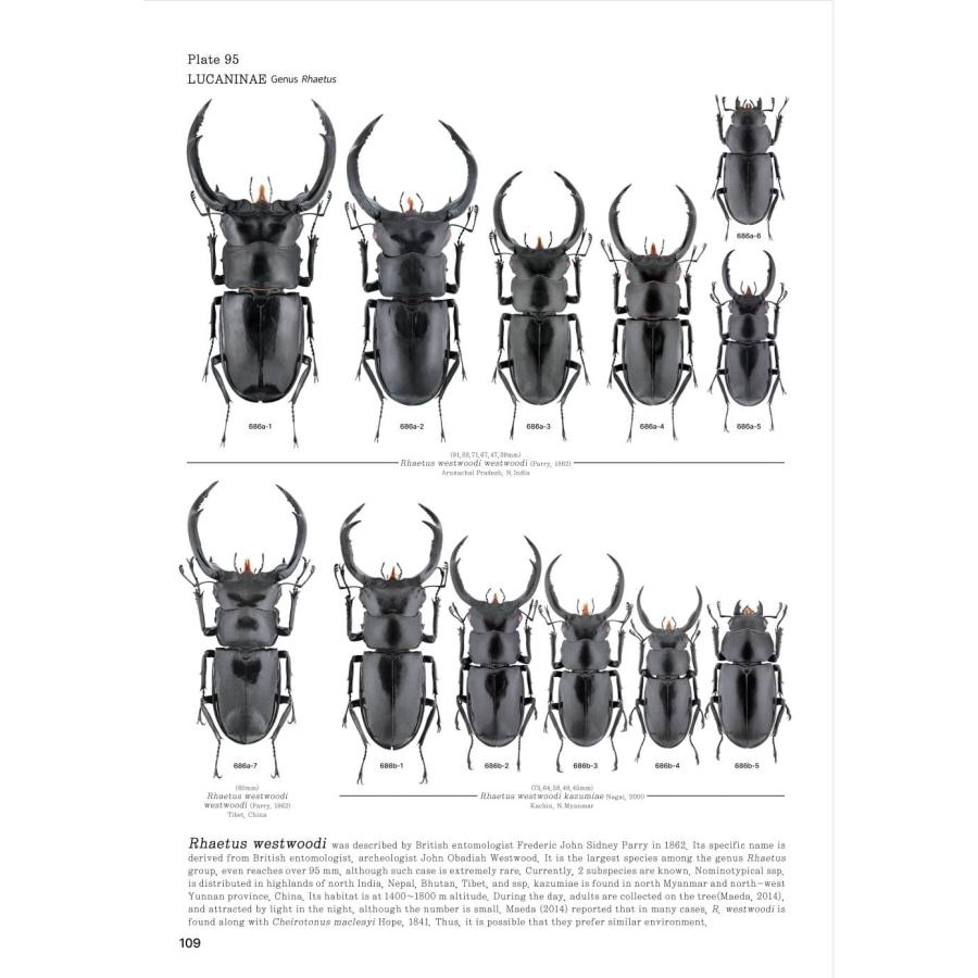 【限定著者サイン入り】LUCANIDAE OF THE WORLD（英語・韓国語） 限定著者サイン入り LUCANIDAE OF THE WORLD
