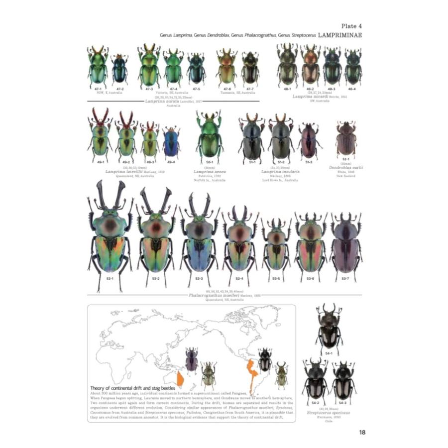 【限定著者サイン入り】LUCANIDAE OF THE WORLD（英語・韓国語） 限定著者サイン入り LUCANIDAE OF THE WORLD