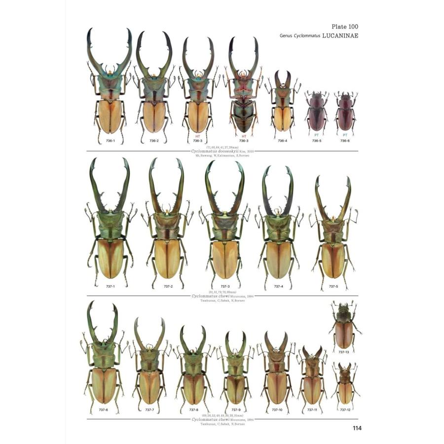 【限定著者サイン入り】LUCANIDAE OF THE WORLD（英語・韓国語） 限定著者サイン入り LUCANIDAE OF THE WORLD