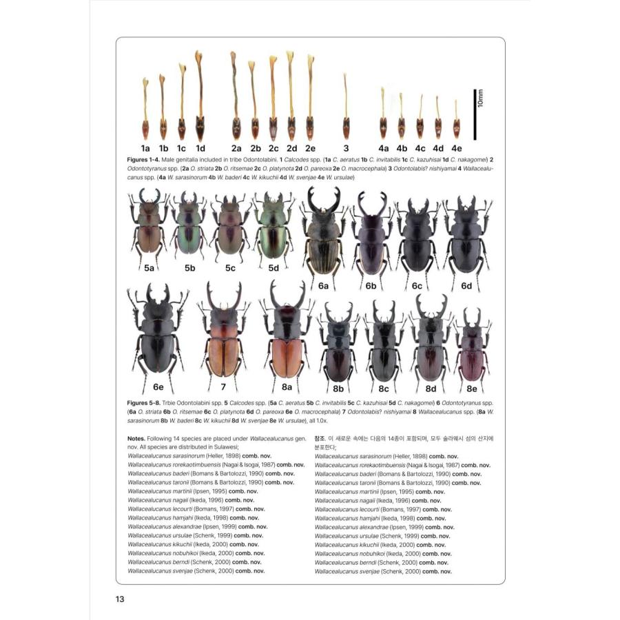 【限定著者サイン入り】LUCANIDAE OF THE WORLD（英語・韓国語） 限定著者サイン入り LUCANIDAE OF THE WORLD