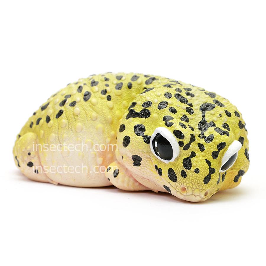 送料無料　激レア!　ヒョウモントカゲモドキ　フィギュア 送料無料 激レア! ヒョウモントカゲモドキ フィギュア - メルカリ