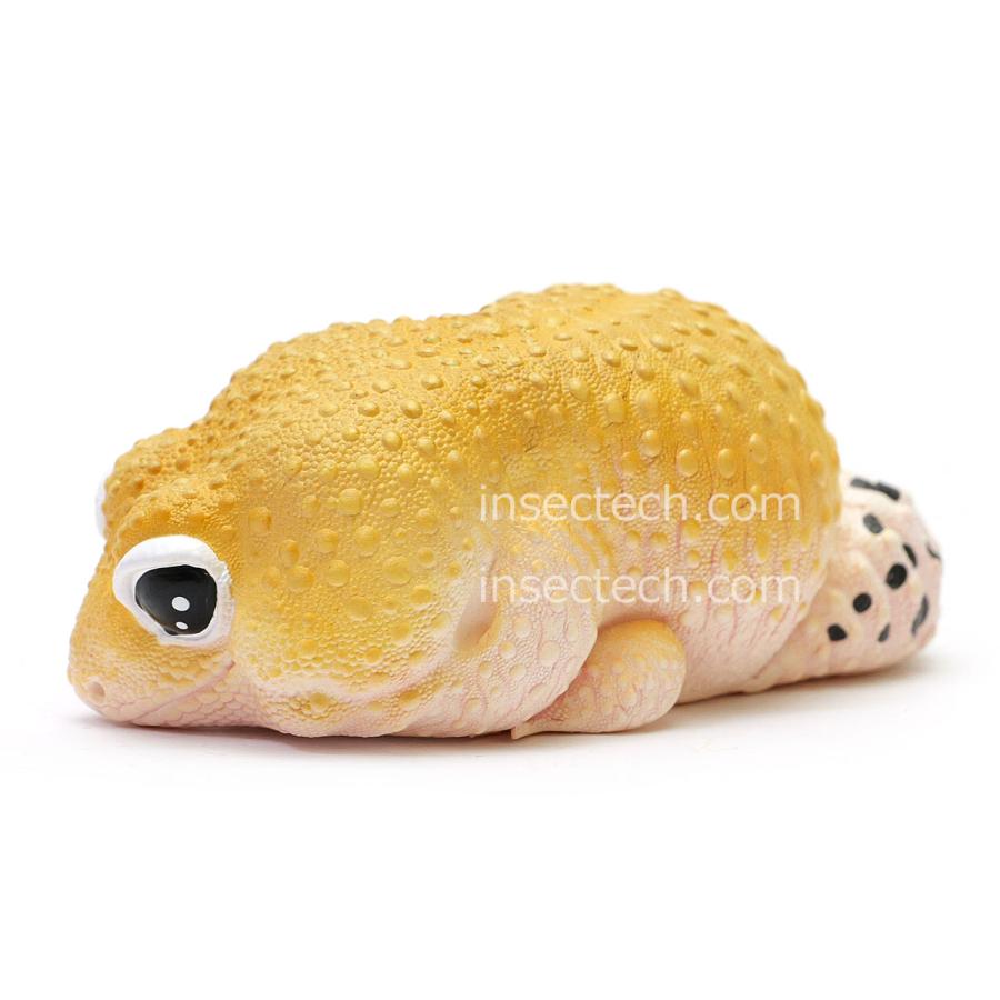 【動物の惑星】★ヒョウモントカゲモドキ（脱皮版） 世界88体限定! フィギュア リアルな「ヒョウモントカゲモドキ」フィギュアがガシャポン