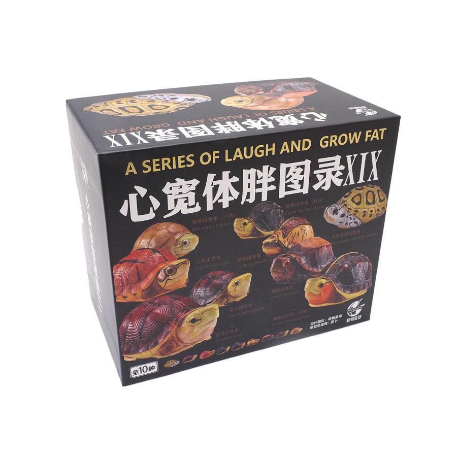 【動物の惑星】レア★メキシコハコガメ★188体限定!フィギュア 動物の惑星】レア☆メキシコハコガメ☆188体限定!フィギュア