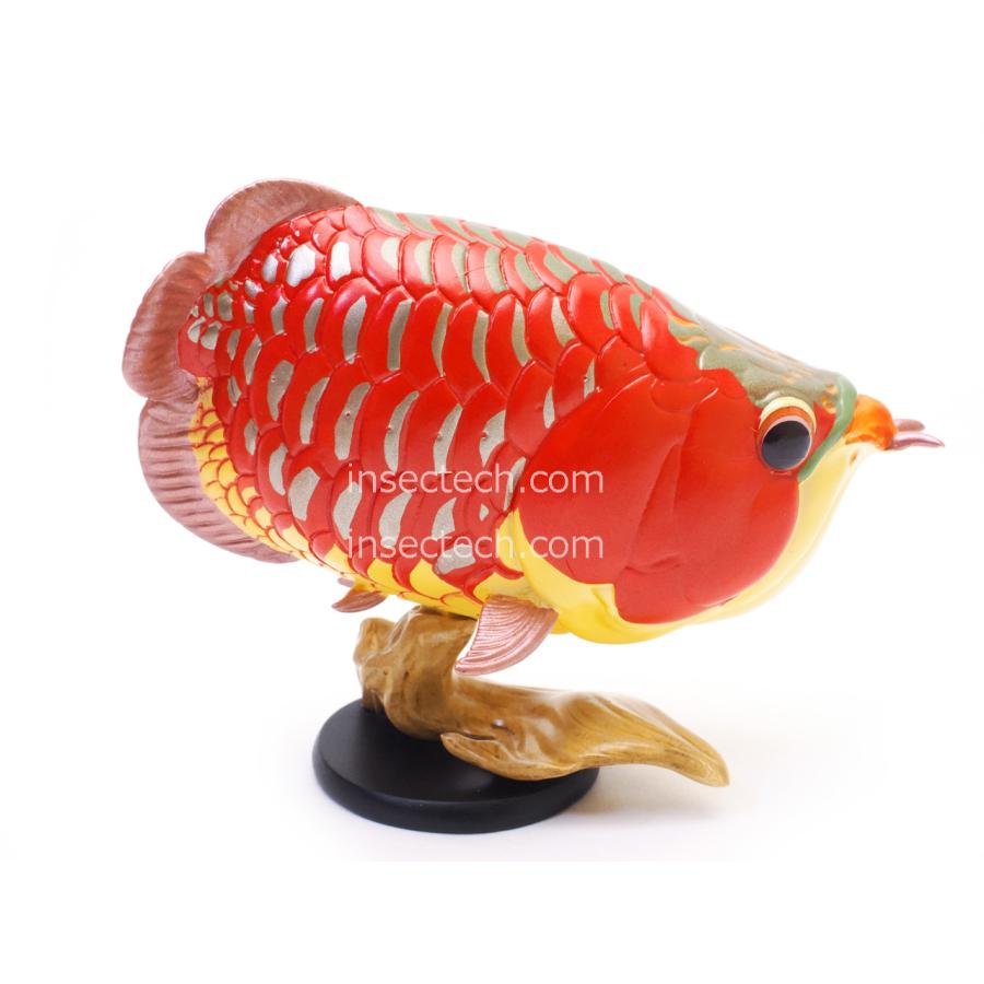 動物の惑星】アジアアロワナ（紅龍）フィギュア : インセクテック動物