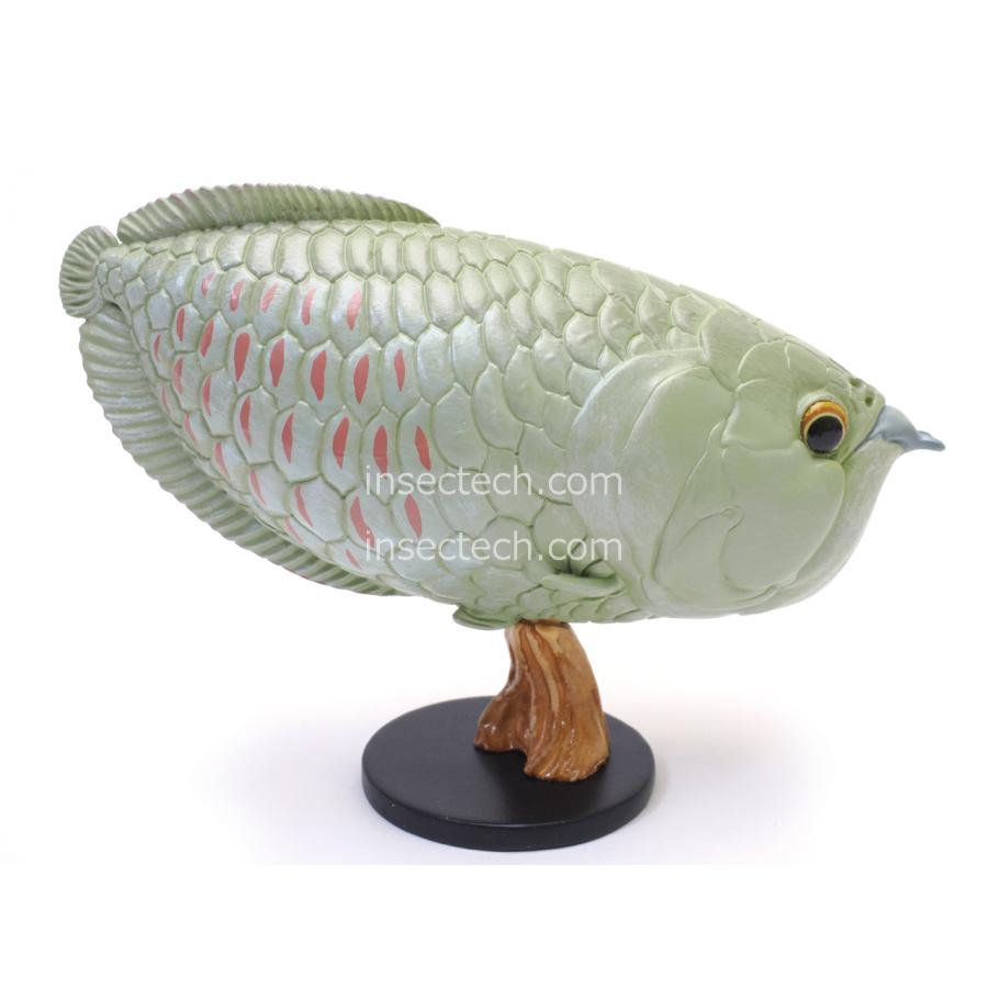 新作ハンドメイド 41cmアロワナ フィギュア レプリカ 熱帯魚 レッド