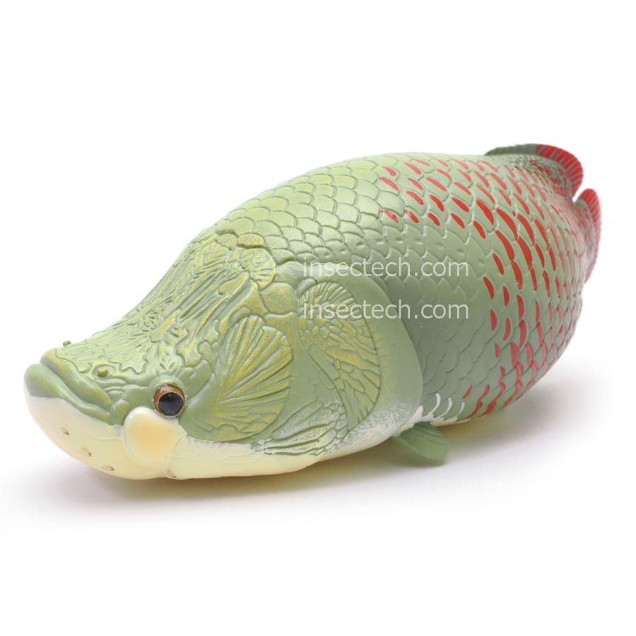 動物の惑星】ピラルク フィギュア : インセクテック動物の惑星