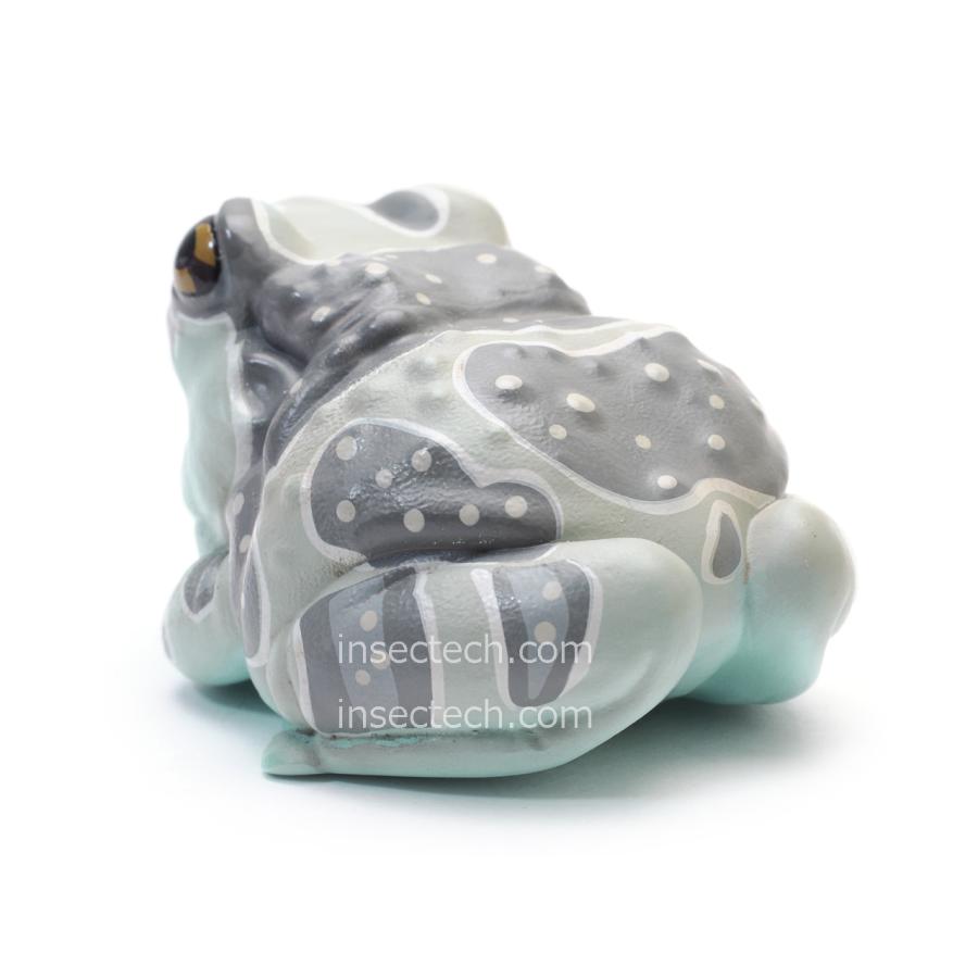 動物の惑星】ジュウジメドクアマガエル フィギュア : インセクテック