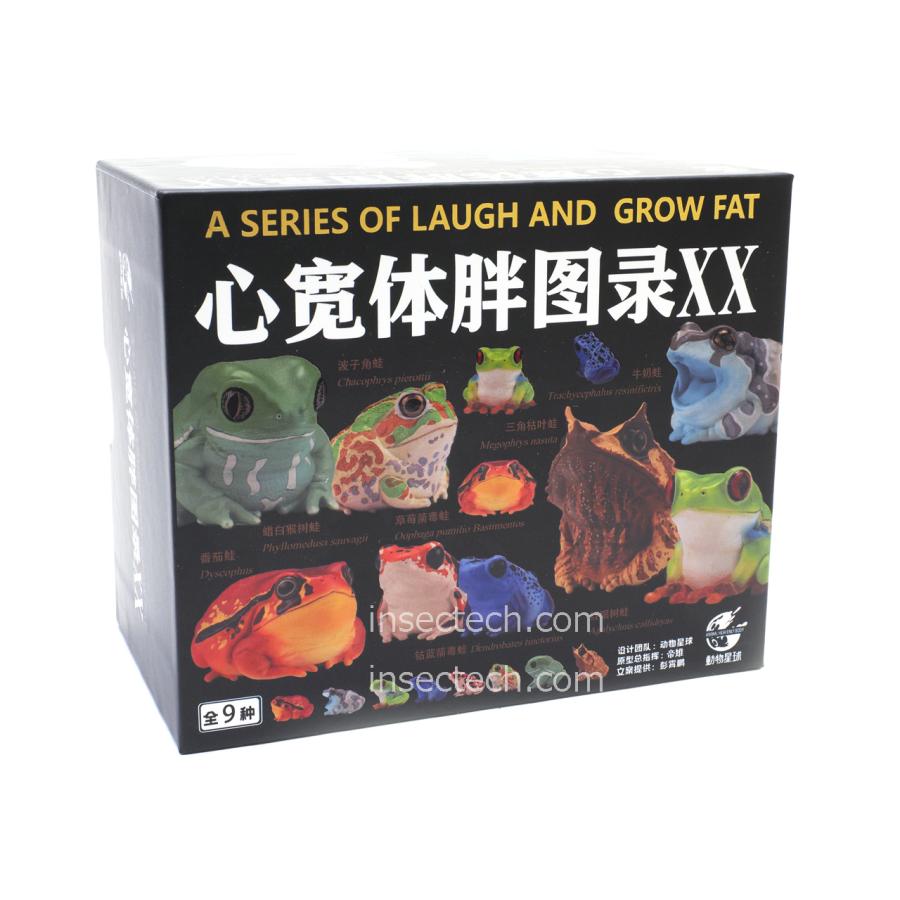 動物の惑星】ジュウジメドクアマガエル フィギュア : インセクテック