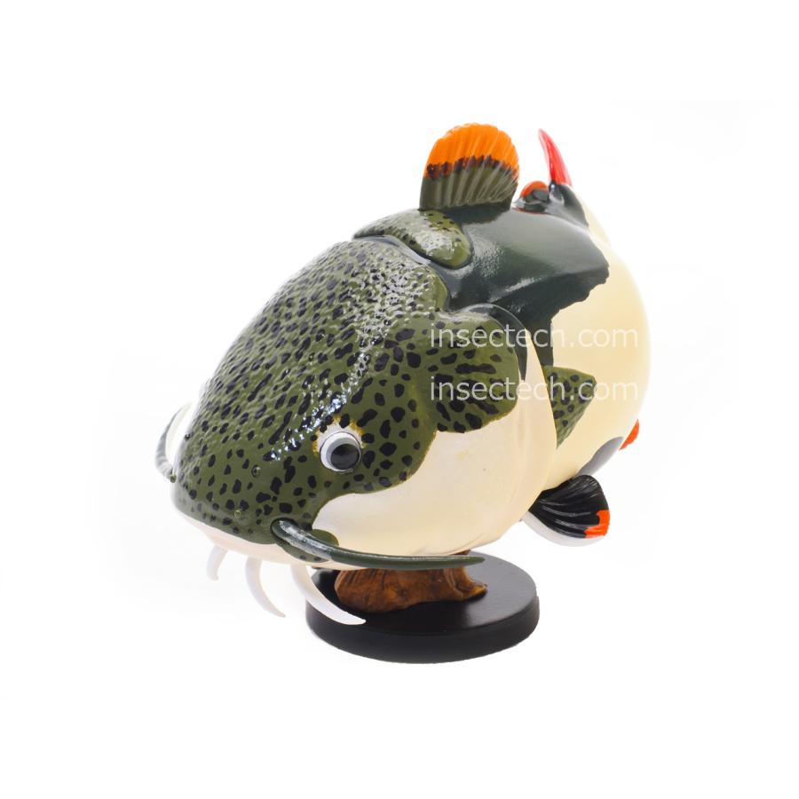 動物の惑星】レッドテールキャットフィッシュ フィギュア