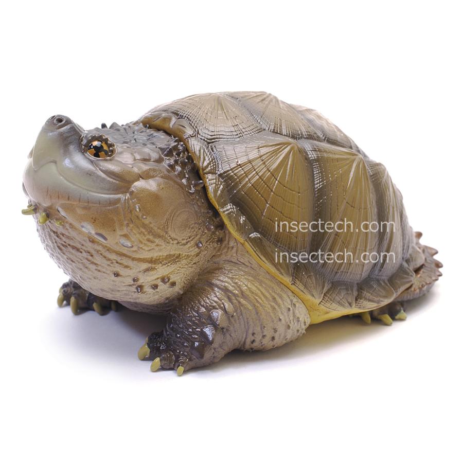 新！【動物の惑星】「WF2025S限定」メンフクロウ フィギュア*お一人様1