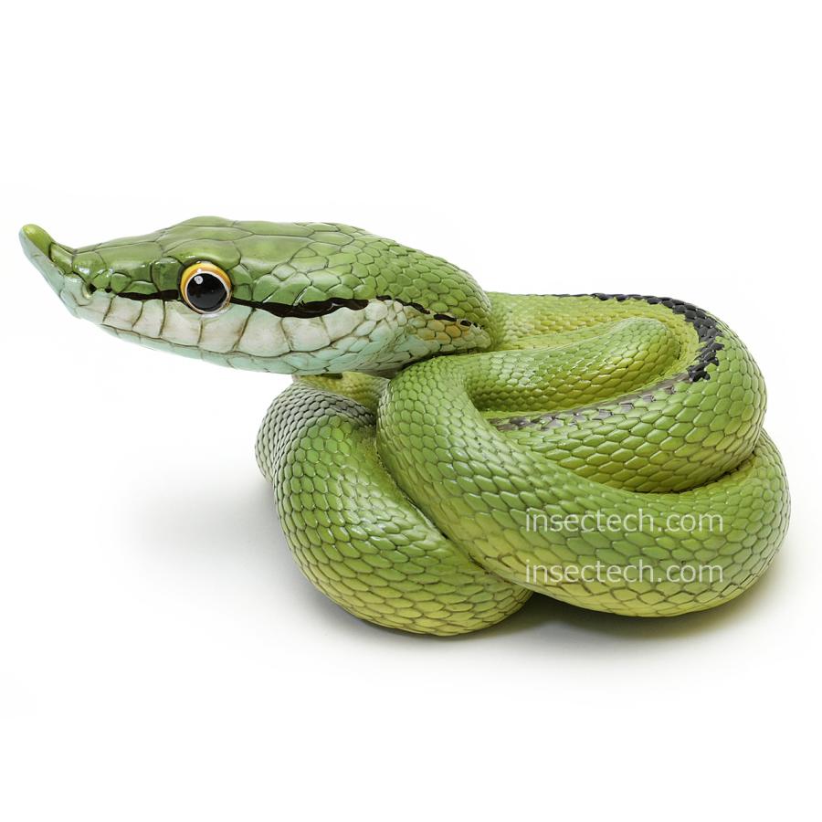 動物の惑星】バロンコダマヘビ フィギュア : インセクテック動物の惑星