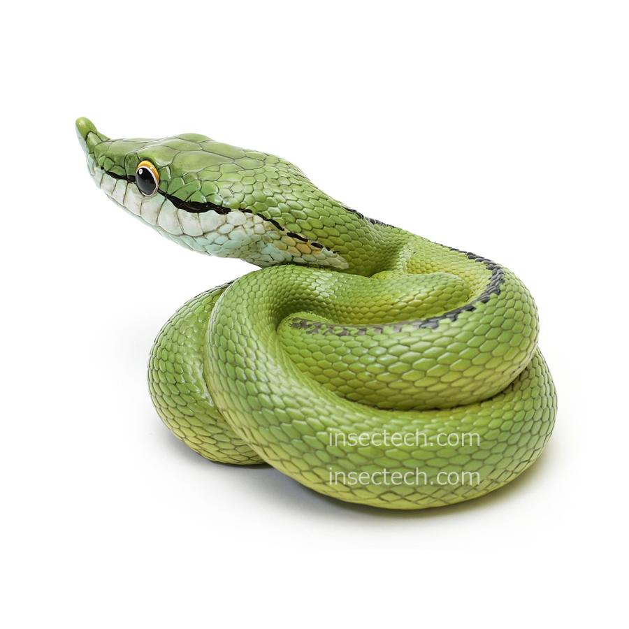 動物の惑星】バロンコダマヘビ フィギュア : インセクテック動物の惑星