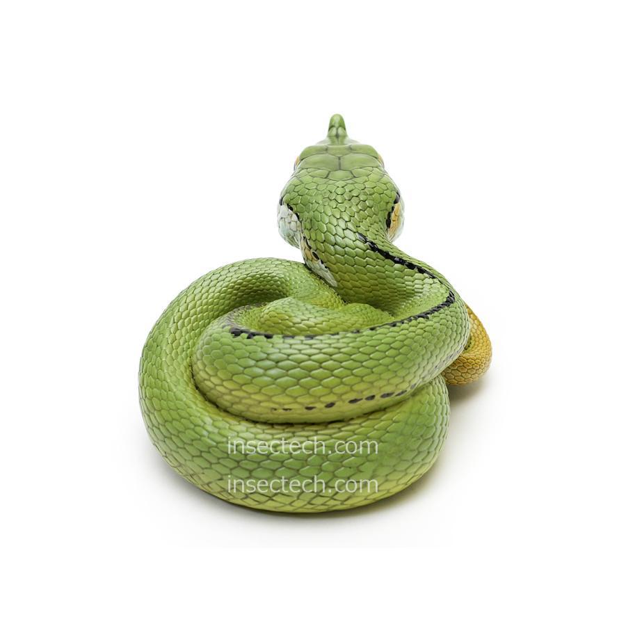 【動物の惑星】バロンコダマヘビ　特典たまご付き 動物の惑星】バロンコダマヘビ フィギュア : インセクテック動物の惑星