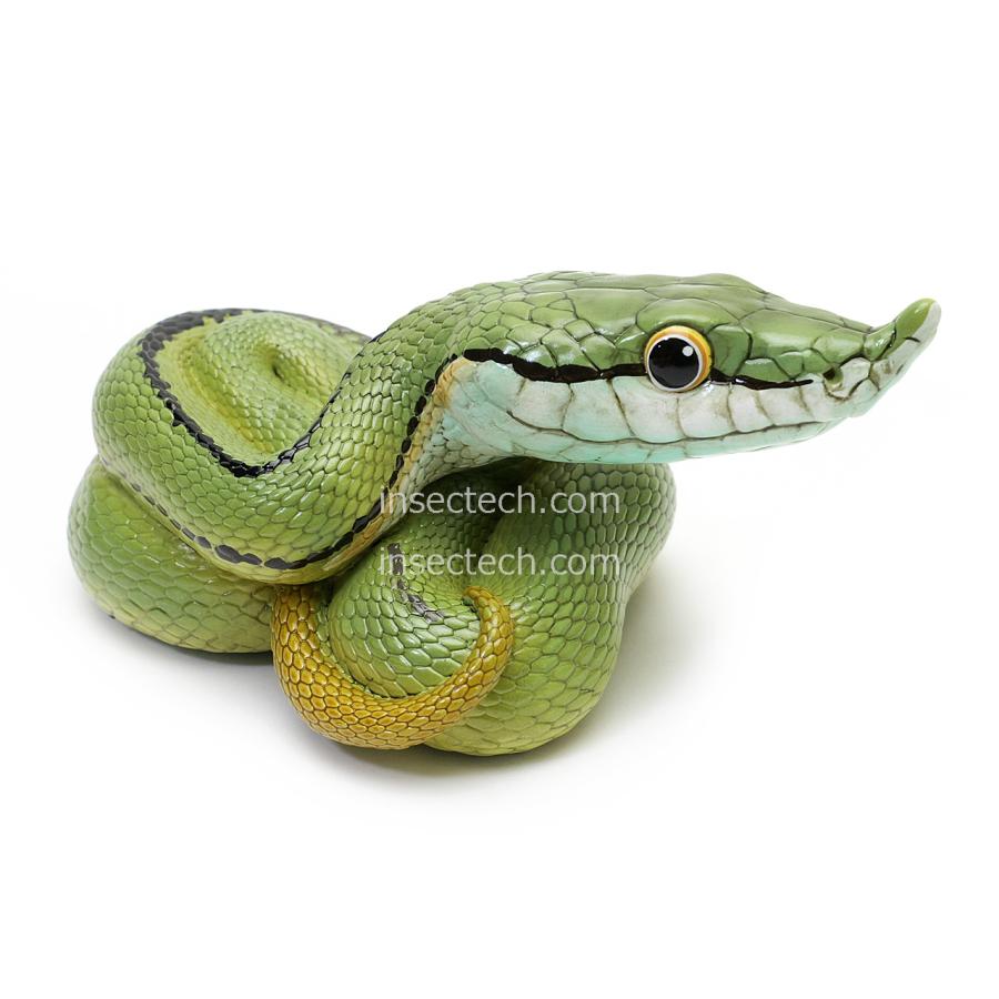 動物の惑星】バロンコダマヘビ フィギュア : インセクテック動物の惑星