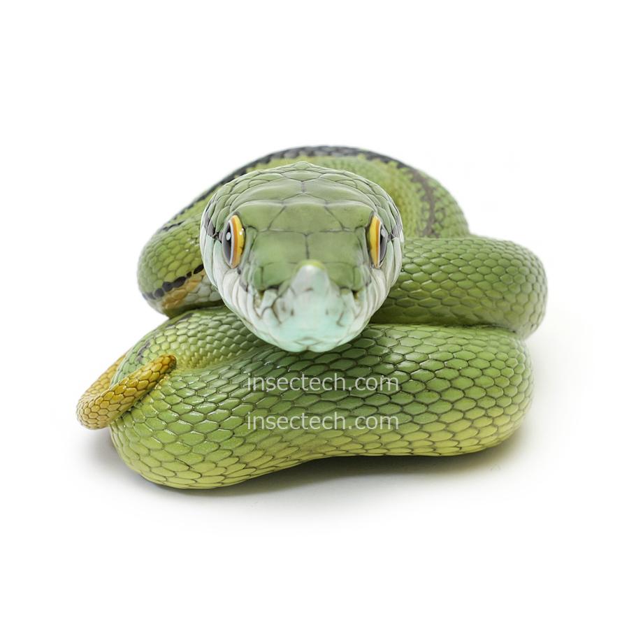 動物の惑星】バロンコダマヘビ フィギュア : インセクテック動物の惑星