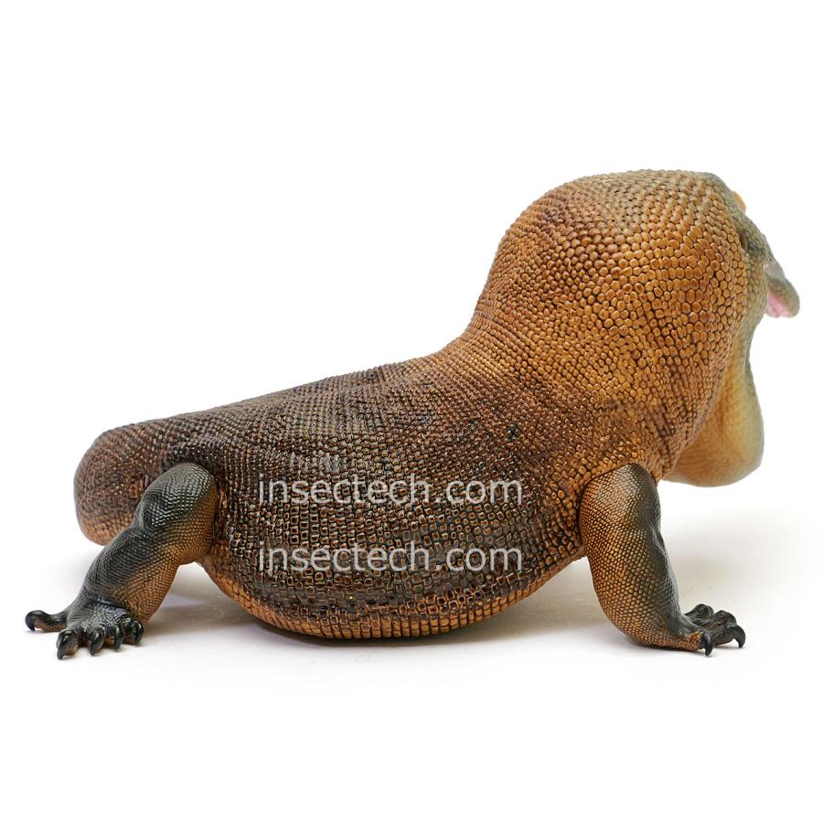 【動物の惑星】超超超激レア! トカゲ限定品&シークレット&廃盤品★フィギュア 新！【動物の惑星】コモドドラゴン フィギュア : インセクテック