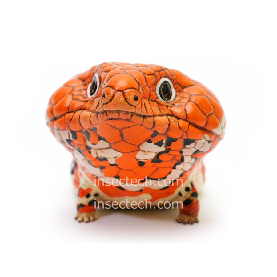 動物の惑星】ニシマツカサトカゲ フィギュア : インセクテック動物の