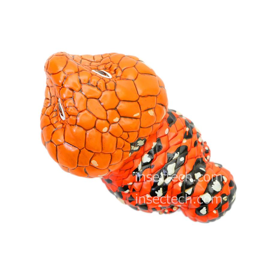 動物の惑星】ニシマツカサトカゲ フィギュア : インセクテック動物の