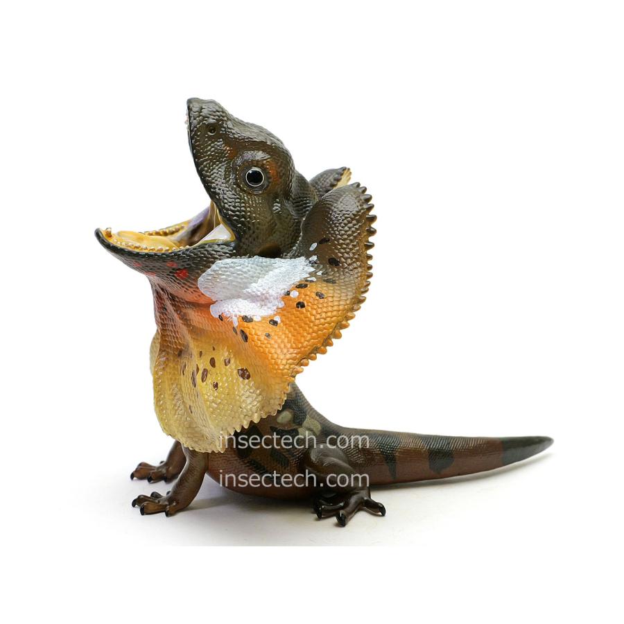 動物の惑星】エリマキトカゲ フィギュア : インセクテック動物の惑星