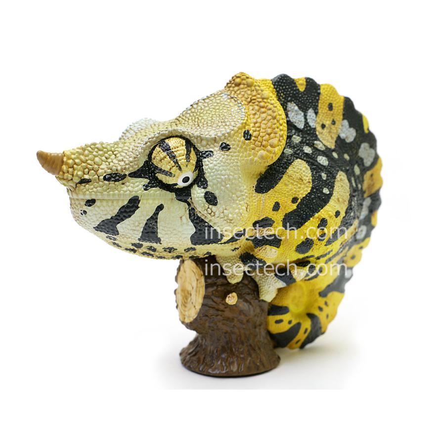 新！【動物の惑星】「WF2025S限定」メンフクロウ フィギュア*お一人様1