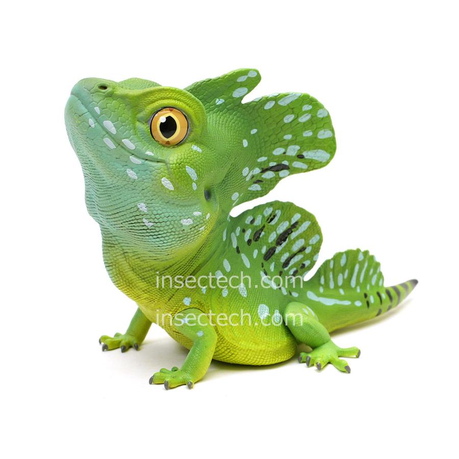 動物の惑星】グリーンバジリスク フィギュア : インセクテック動物の