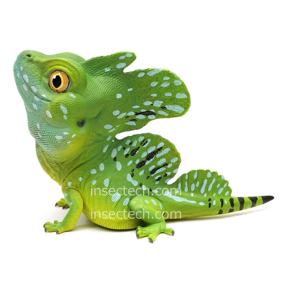 動物の惑星】グリーンバジリスク フィギュア : インセクテック動物の