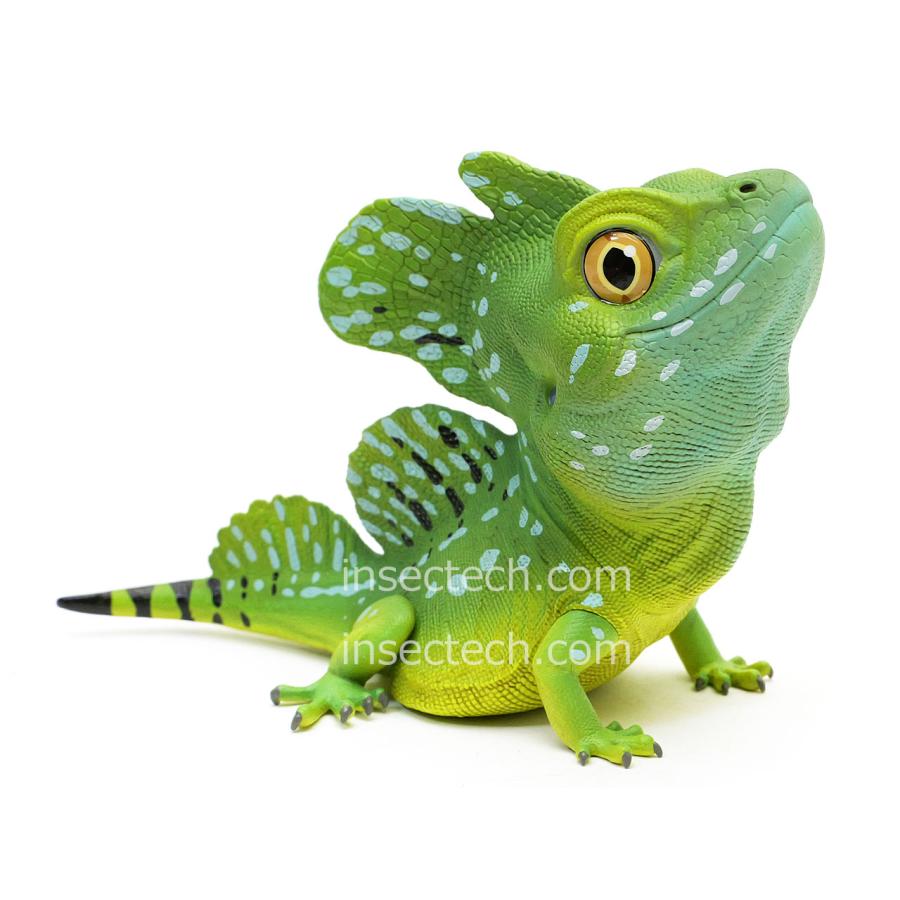 動物の惑星】グリーンバジリスク フィギュア : インセクテック動物の
