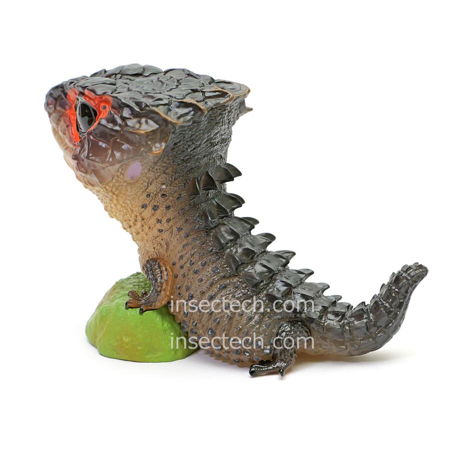 動物の惑星】アカメカブトトカゲ フィギュア : インセクテック動物の